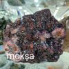 auralite23-2.7kg